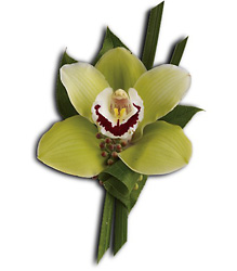 Green Orchid Boutonniere from Nate's Flowers in Casper, WY